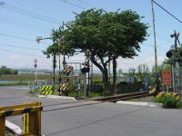 iq䉺w