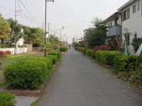 Z鐅݂