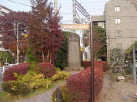 B肪