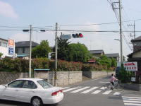 wM