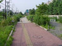 ݂̒悵