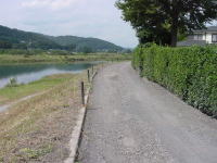 y艈